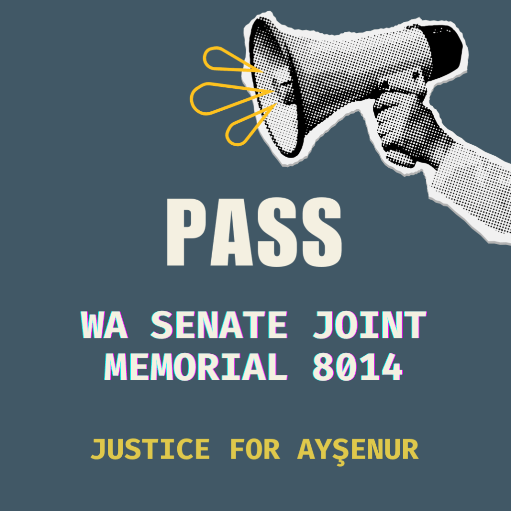 Tracking the path towards justice for Ayşenur