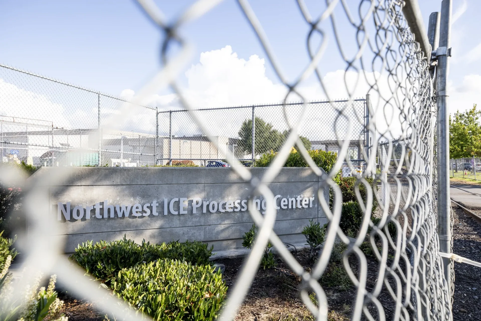 Palestinian asylum-seeker among those arrested by ICE in WA traffic stops